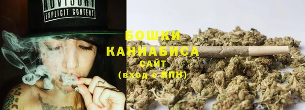 шишки Арсеньев